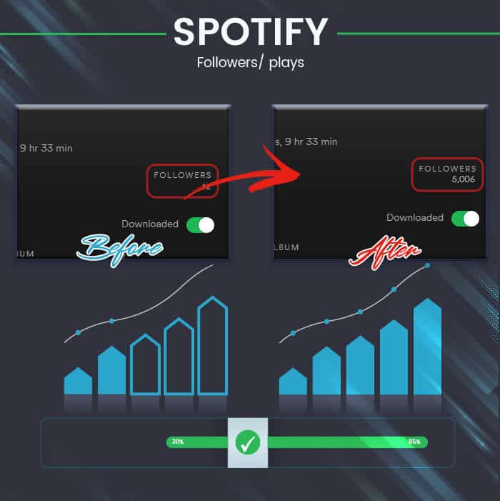 Spotify infographic-01