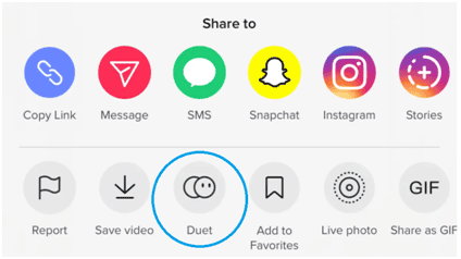 image 6 How to Make a Duet on TikTok