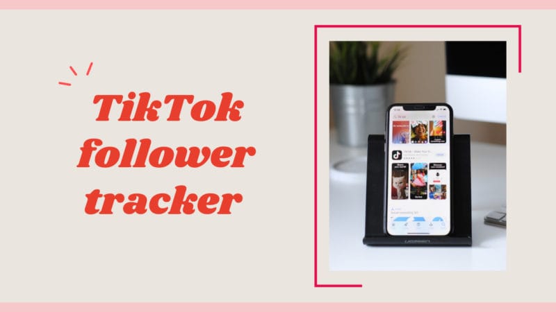 TikTok follower tracker