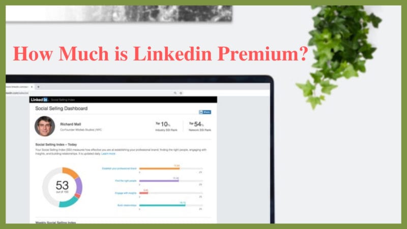 how much is linkedin premium 