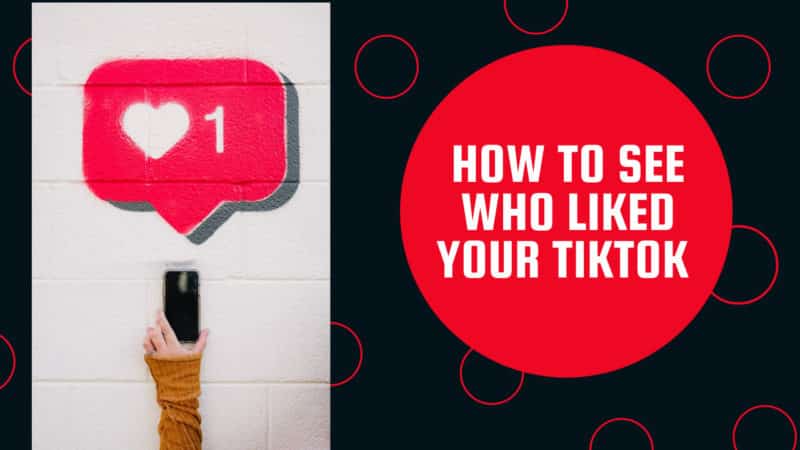 How to see who liked your TikTok