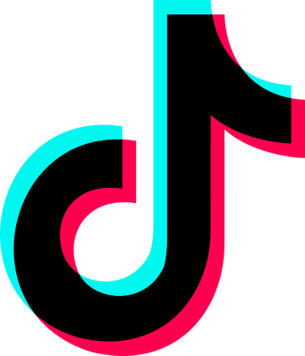 how to get more followers on tiktok without downloading apps
