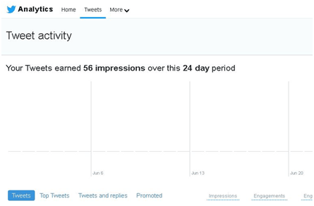 how to access twitter impression