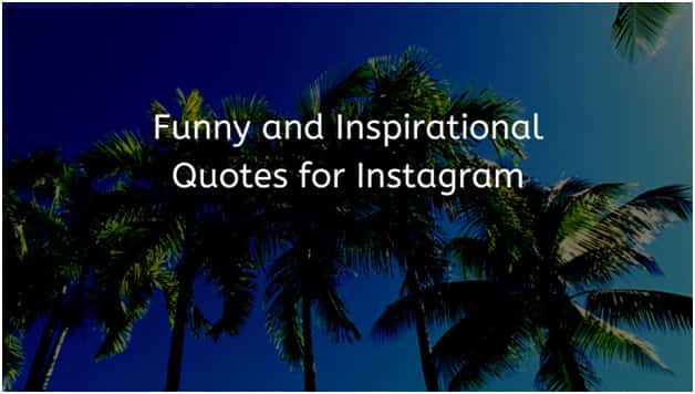 Lustige und inspirierende Zitate für Instagram