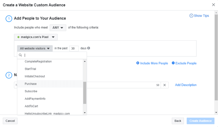 click Create Audience