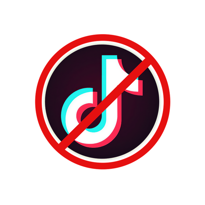 TikTok Banned in China
