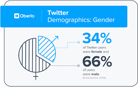 Twitter Demography