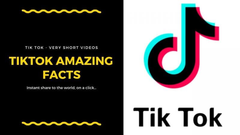 15 Fun TikTok Facts